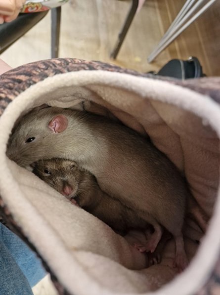 Photo By Ashley Hayward