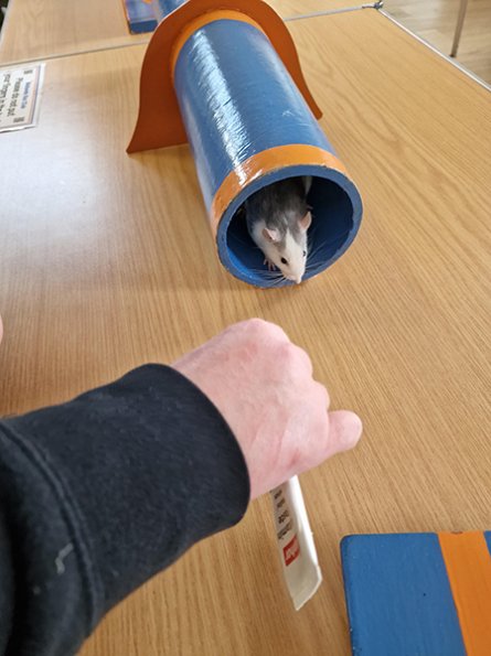 Photo By Ashley Hayward