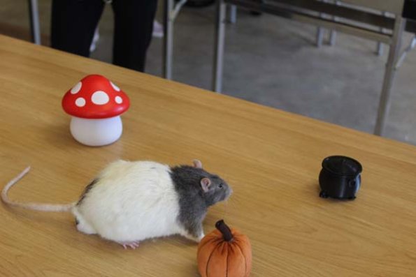 20241005162403_IMG_9309