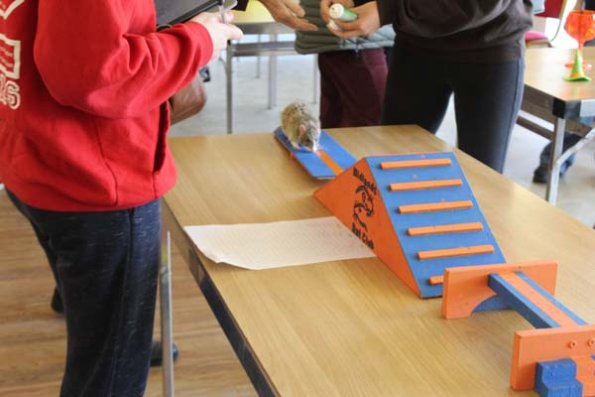 20241005162443_IMG_9320