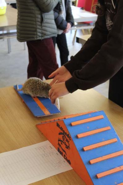 20241005162448_IMG_9322