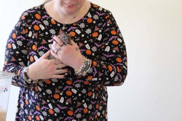 20241005162500_IMG_9329