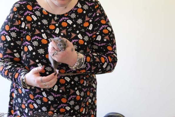 20241005162501_IMG_9330