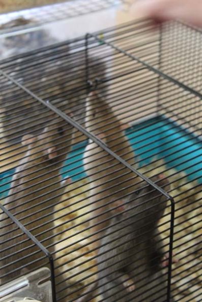 20241005162506_IMG_9331