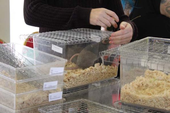 20241005162540_IMG_9338