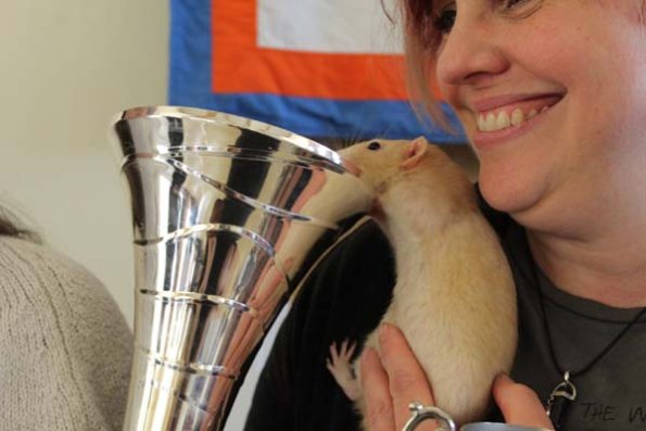 20241005170516_IMG_9391