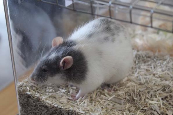 20240406123000_IMG_7550