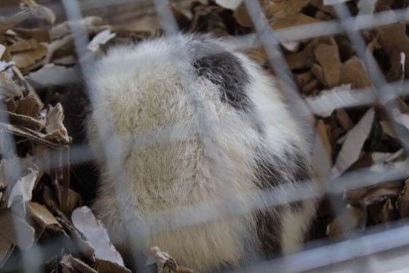 20240406123031_IMG_7553