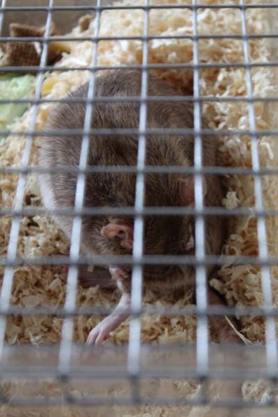 20240406123213_IMG_7558