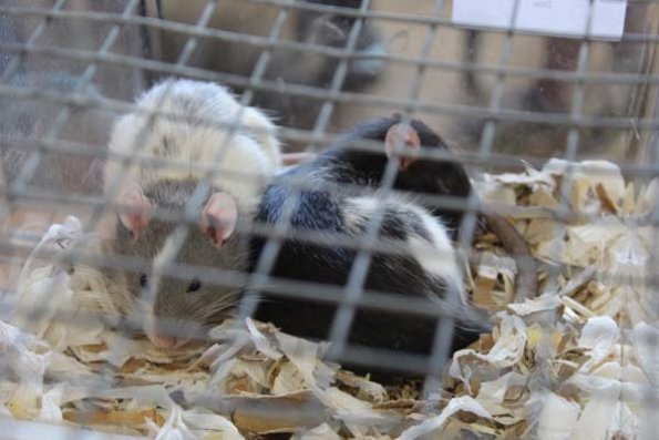 20240406124233_IMG_7565