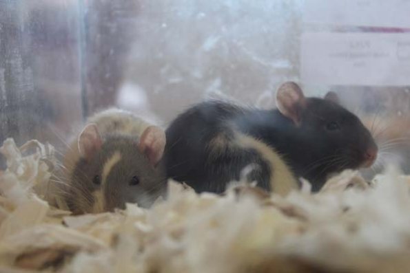 20240406124252_IMG_7568