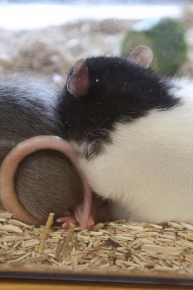 20240406124310_IMG_7571