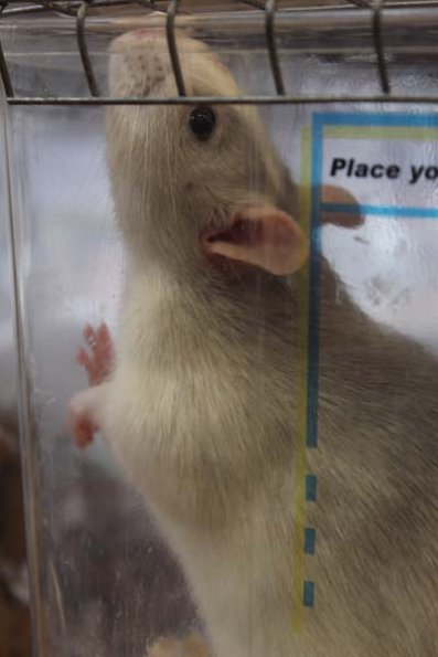 20240406124332_IMG_7575