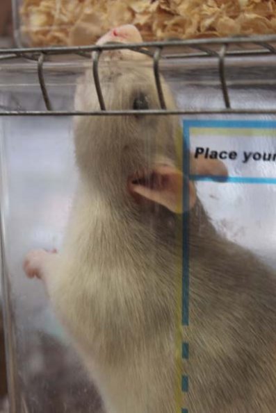 20240406124334_IMG_7576