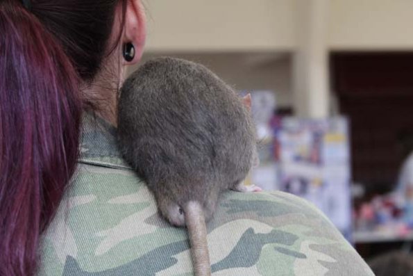 20240406124432_IMG_7579