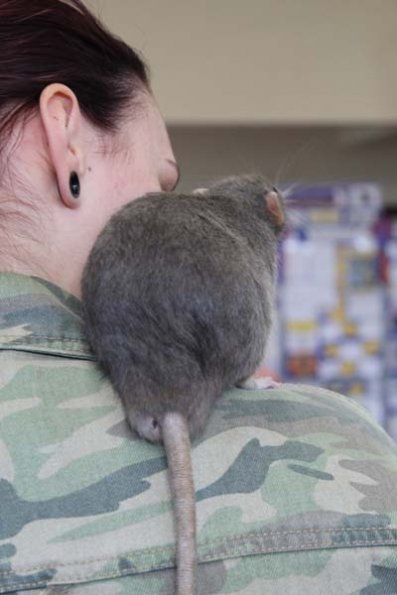 20240406124436_IMG_7581