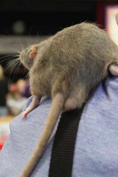 20240406124633_IMG_7591