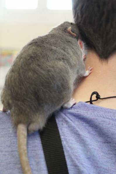 20240406124639_IMG_7594