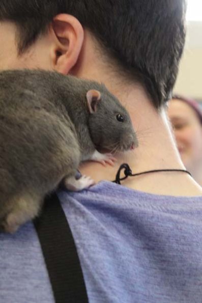 20240406124642_IMG_7597