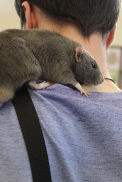 20240406124643_IMG_7598