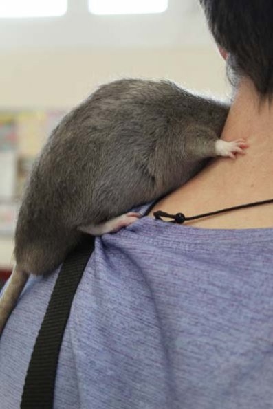 20240406124646_IMG_7601