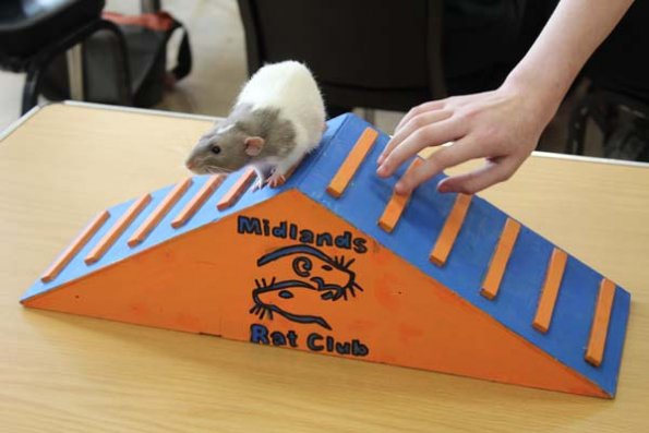 20240406161412_IMG_7713