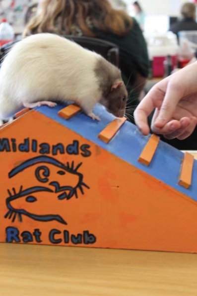 20240406161419_IMG_7714