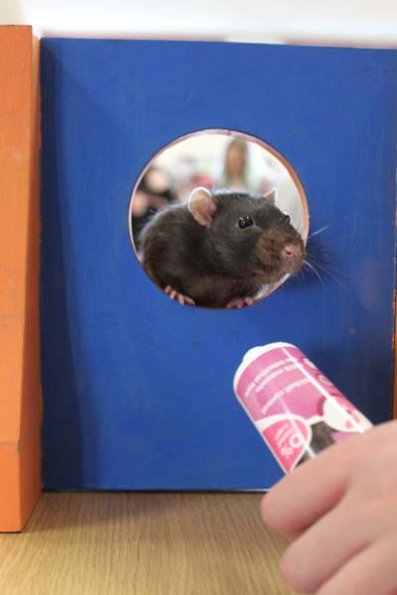 20240406163302_IMG_7809