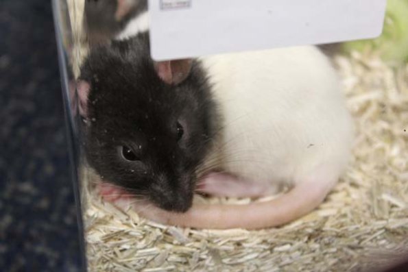 20240406173809_IMG_7882