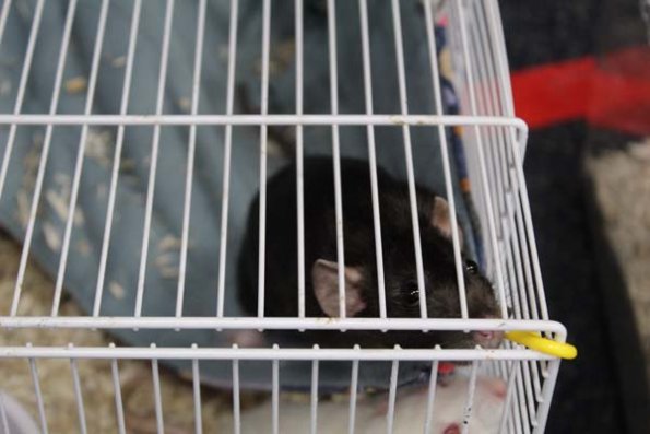 20240406173830_IMG_7883