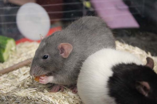 20240406173842_IMG_7884