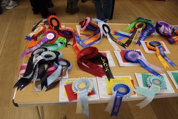 20240406173940_IMG_7888