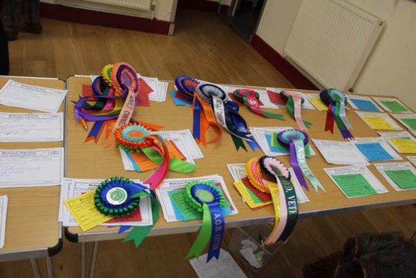 20240406174105_IMG_7889