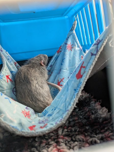 PXL_20250607_065934847