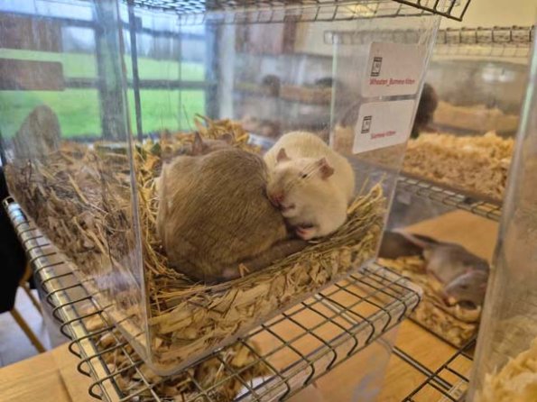 475359295_1683395182577460_2771282293791798641_n