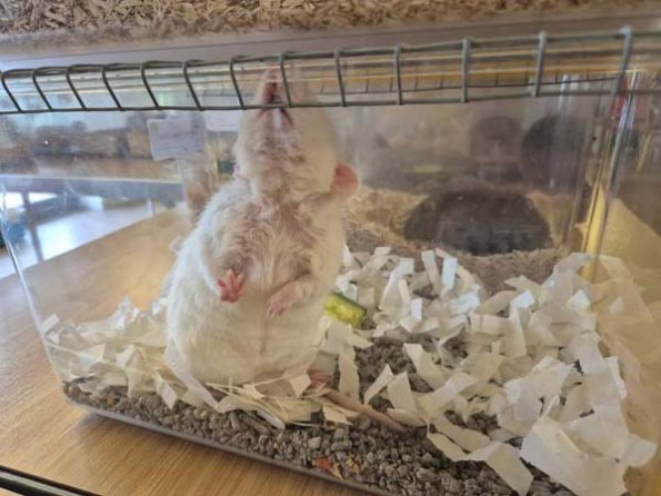 476344707_1754997645046846_6526579888559334039_n