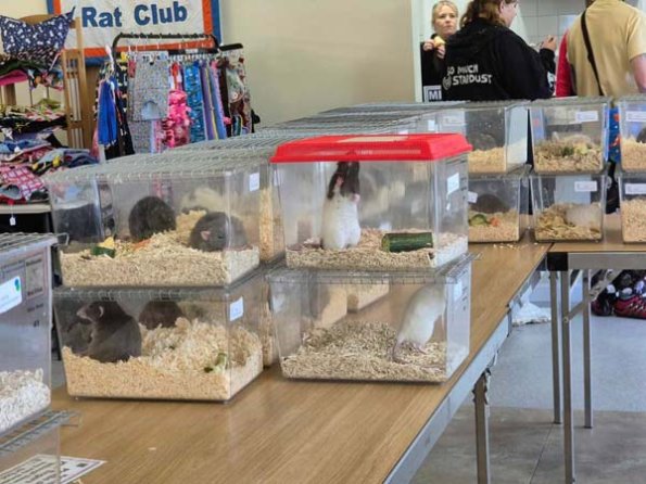 476354016_1142921757526830_771526777159216653_n