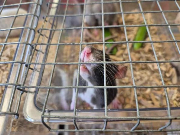 476401034_644172371394754_6591155743615054083_n