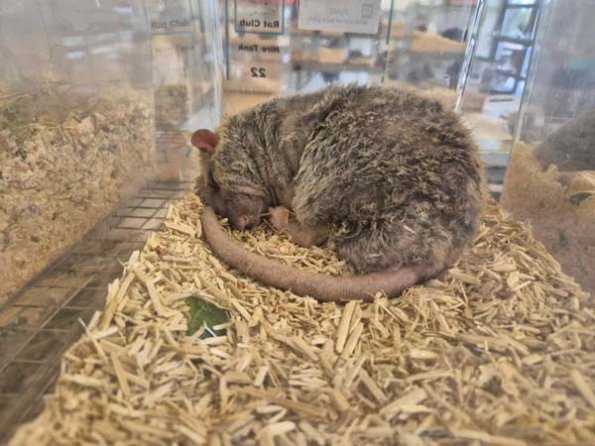 476403491_3414615505338774_6178960761426633296_n