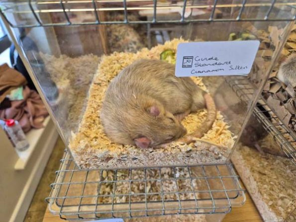 476471567_2337953573241086_5462608352591022612_n