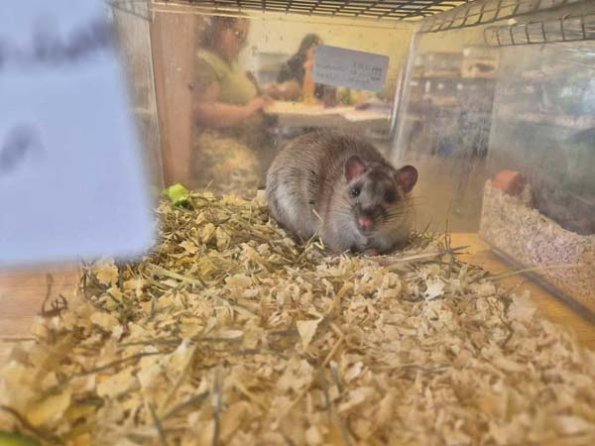 476606366_1874561509743585_2511818641717169273_n