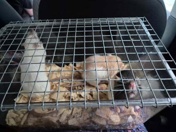 476611153_2420411921642048_5618242947820356728_n