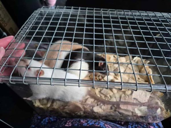 476634093_1150479023337195_2169600961406089803_n