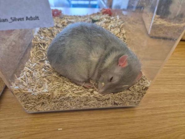 477053227_1384238145908169_1346888253972016239_n