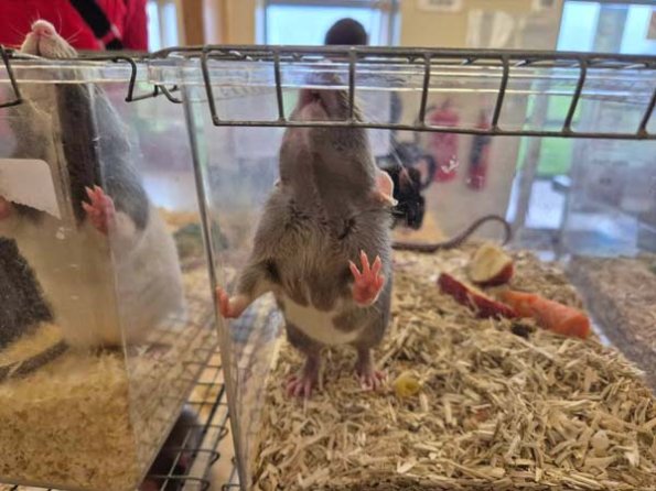 479882320_1362518068072724_6248627036236641612_n