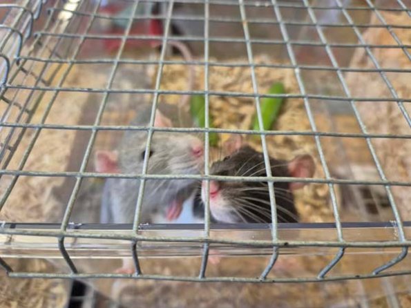 479978835_621240013831857_757322457513529857_n