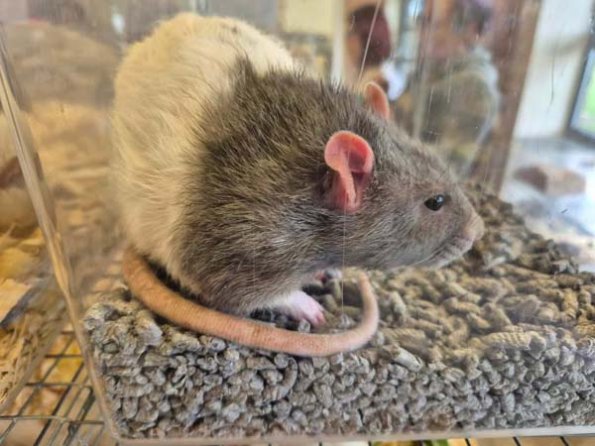 480479973_954735269724431_8643476193330528005_n