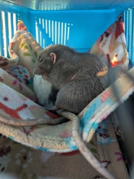 PXL_20250405_180553926