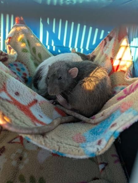 PXL_20250405_180611664