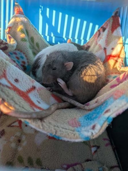 PXL_20250405_180613106